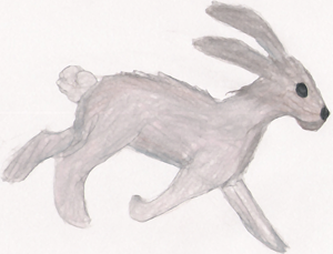 Cave Painted Hare