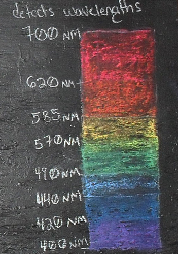 Close Up: Wavelegths interpreted by the robot